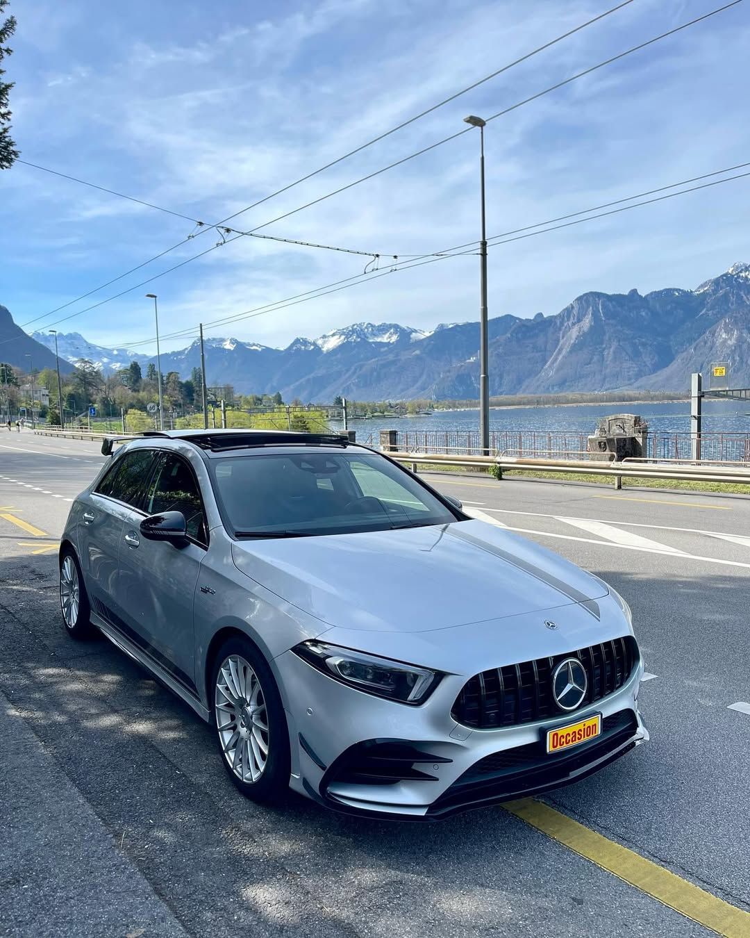 Le soleil brille à travers les arbres de la forêt de bouleaux.