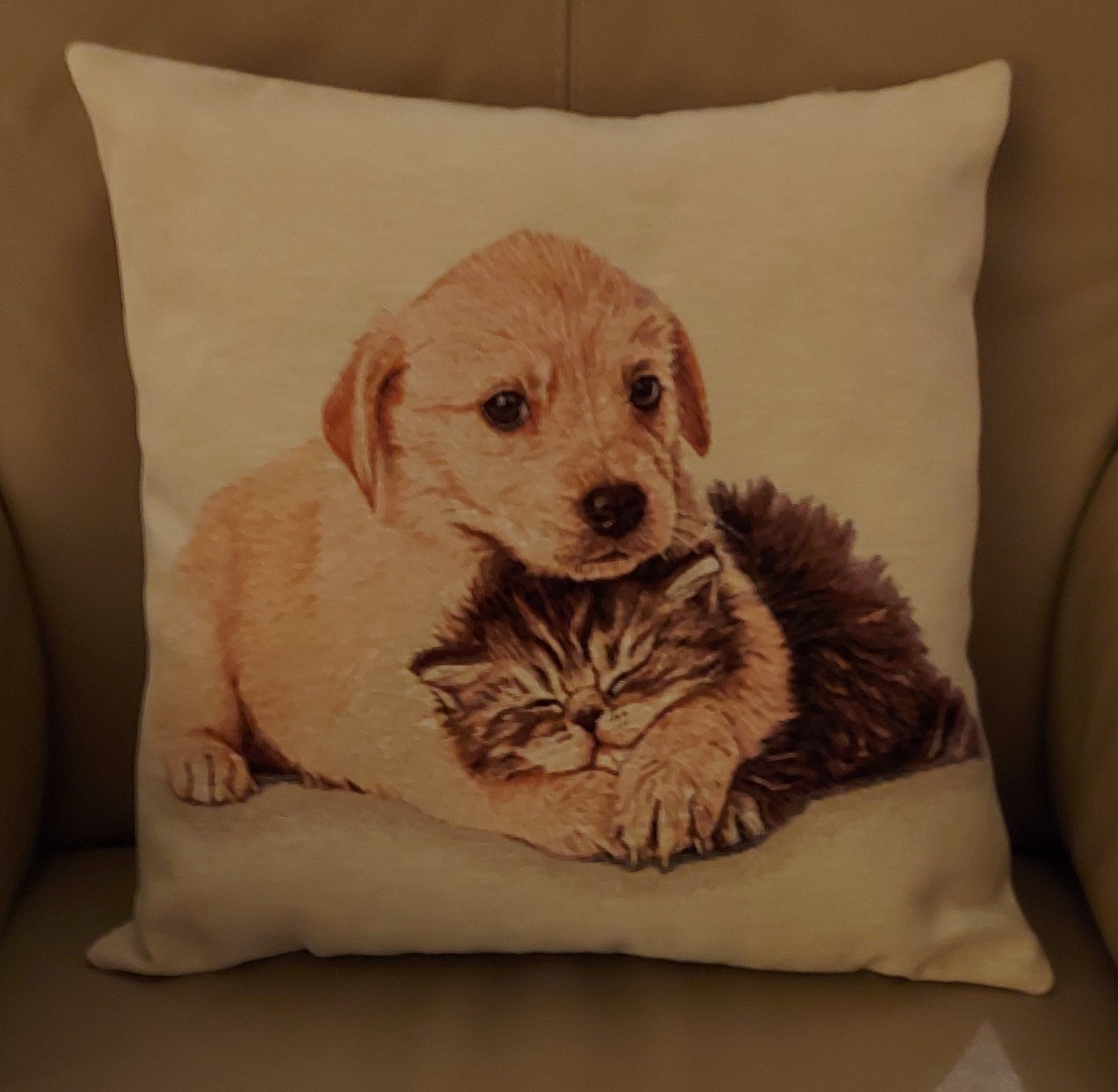 Coussin chat et chien