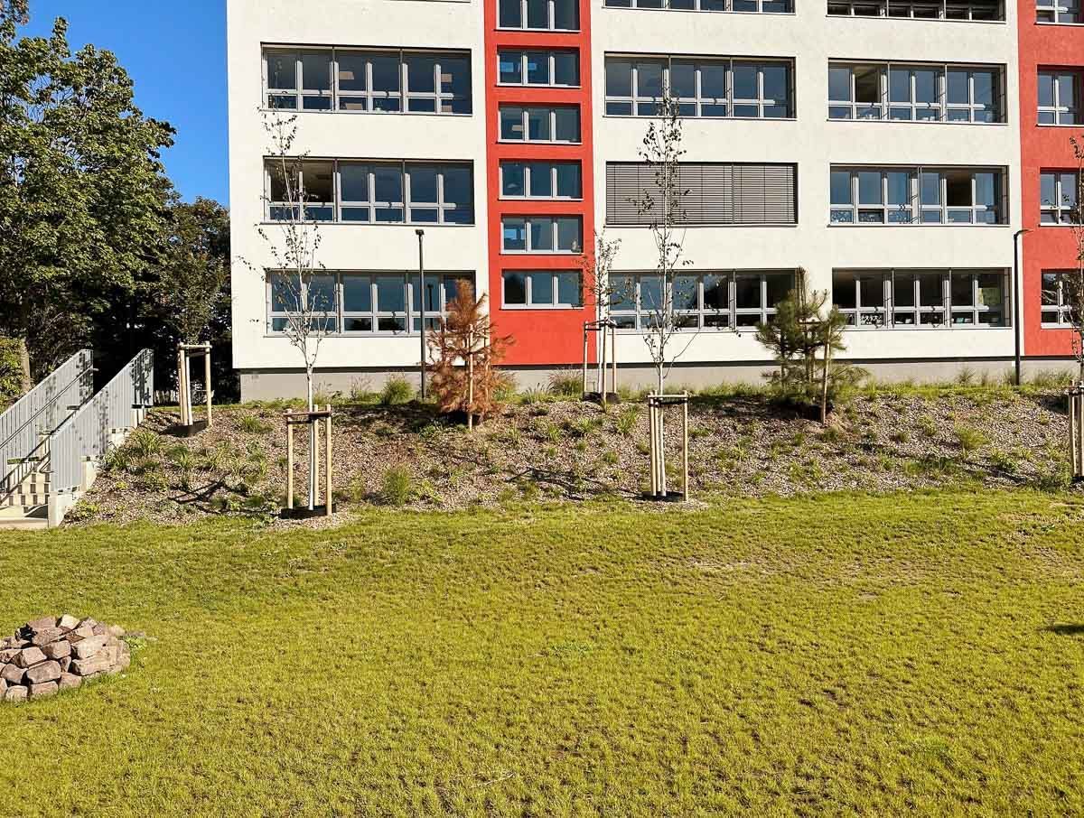 ein großes Gebäude mit vielen Fenstern und Bäumen davor - Referenzen von BAUSON GmbH aus Gräfenhainichen