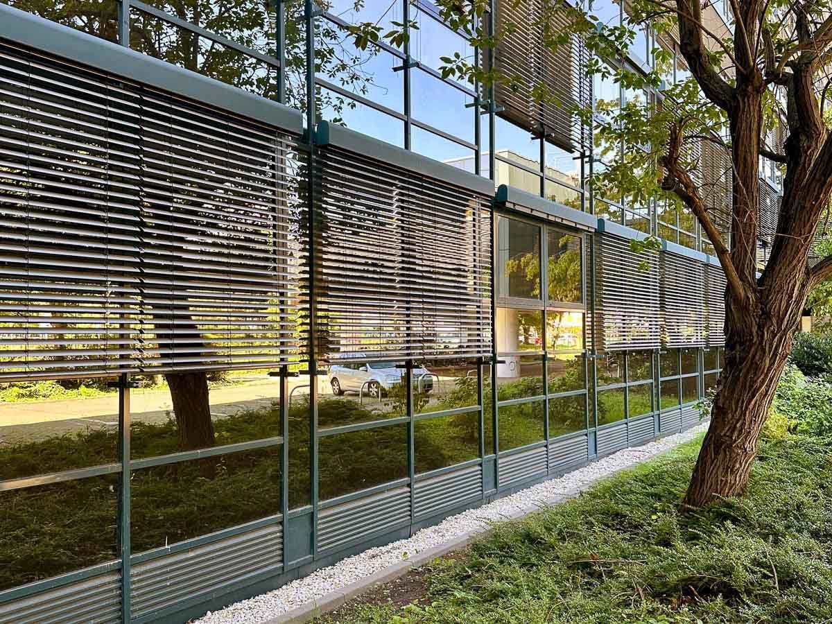 ein Gebäude mit vielen Fenstern und einem Baum davor - Referenzen von BAUSON GmbH aus Gräfenhainichen