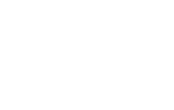 Logo Dacia Blanc