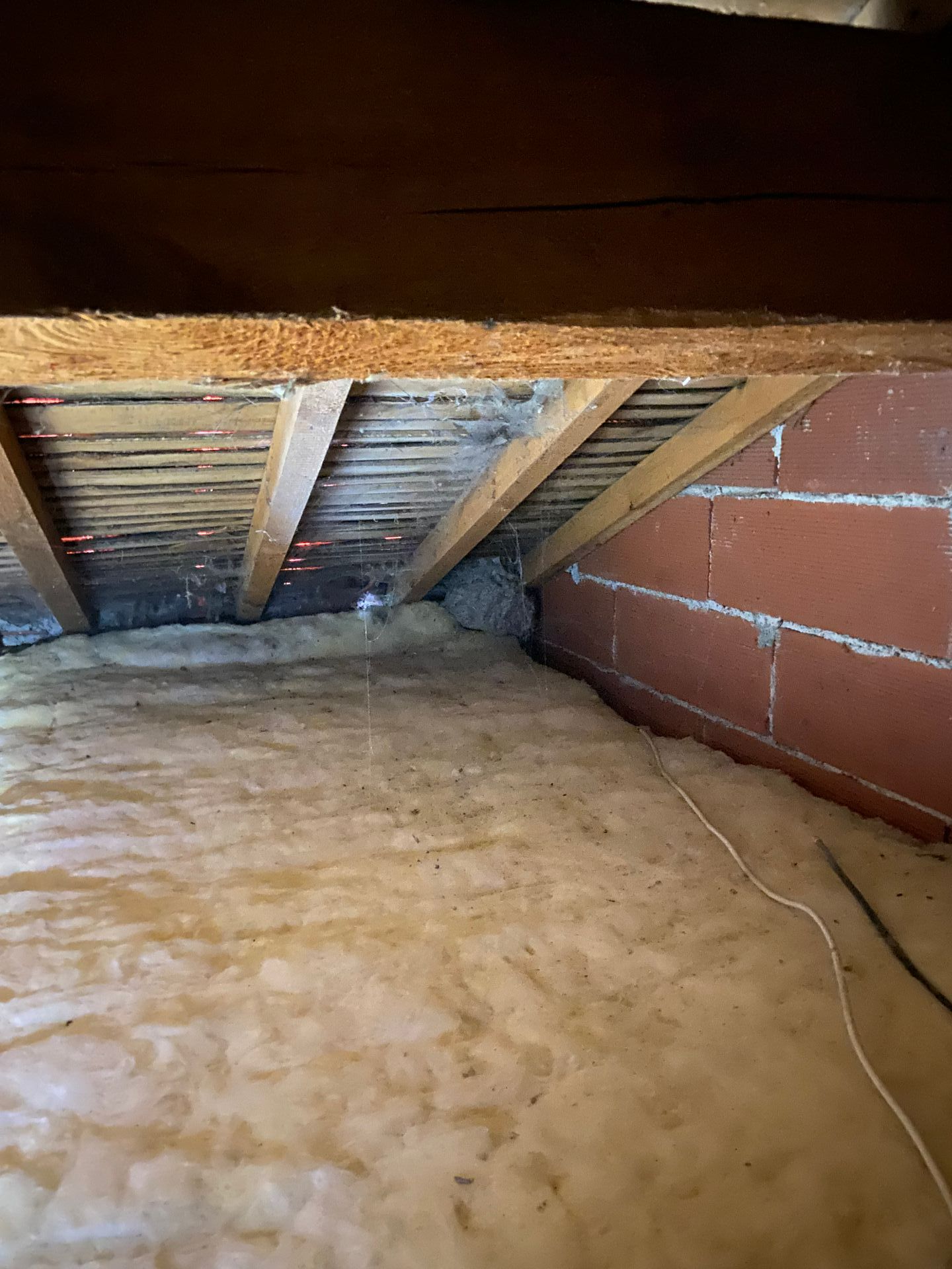 Nid niché dans un grenier