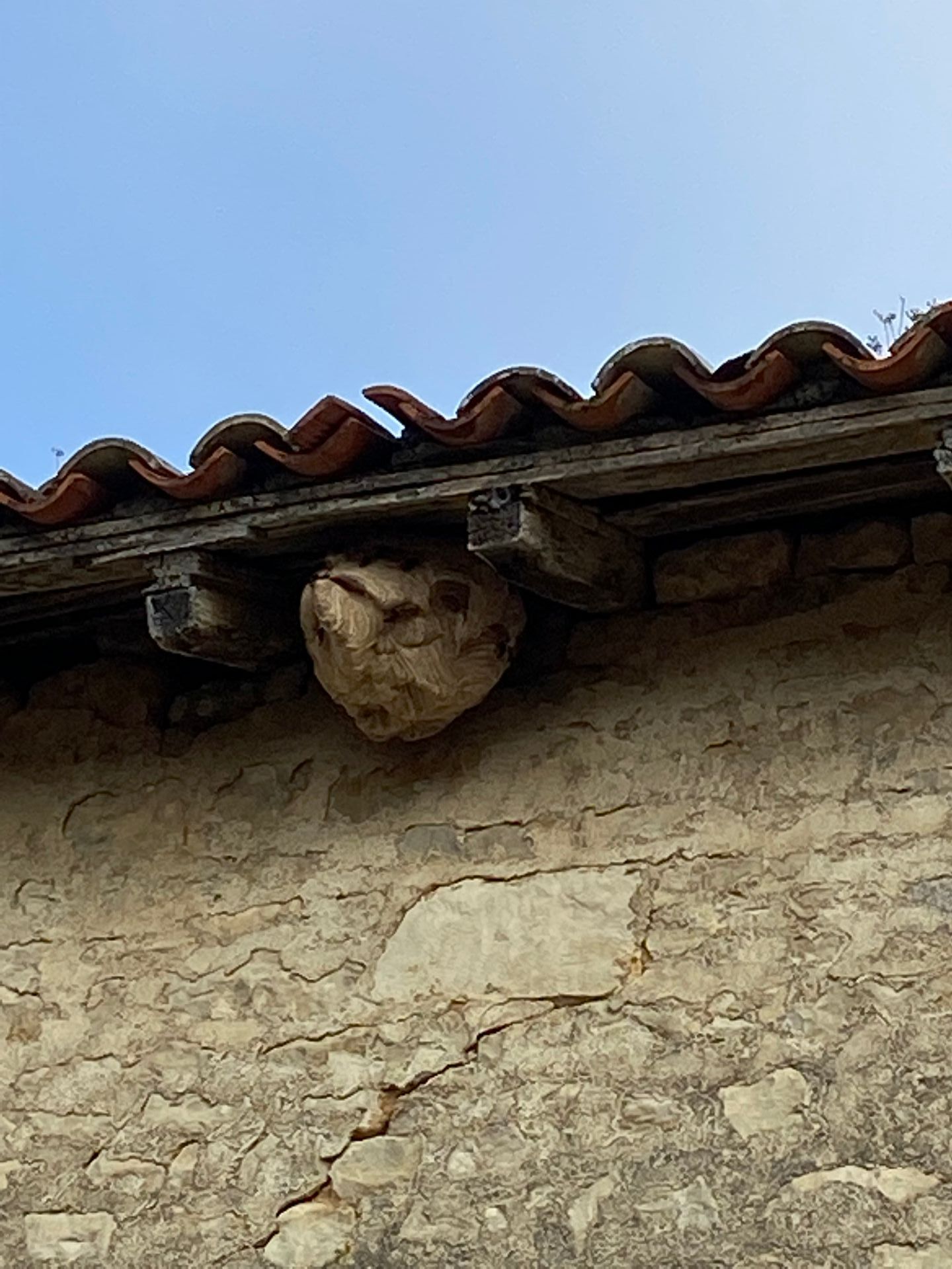 Nid niché sous un toit