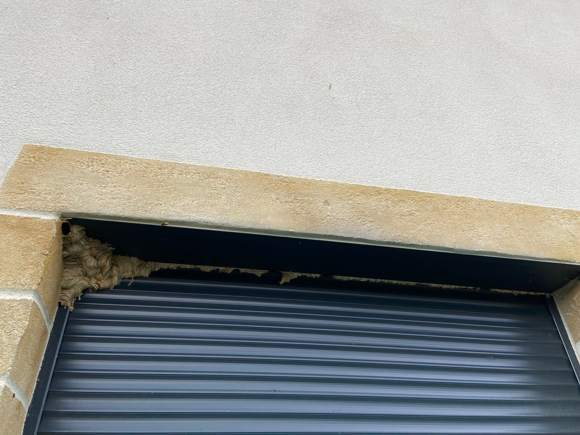 Nid installé devant une porte de garage