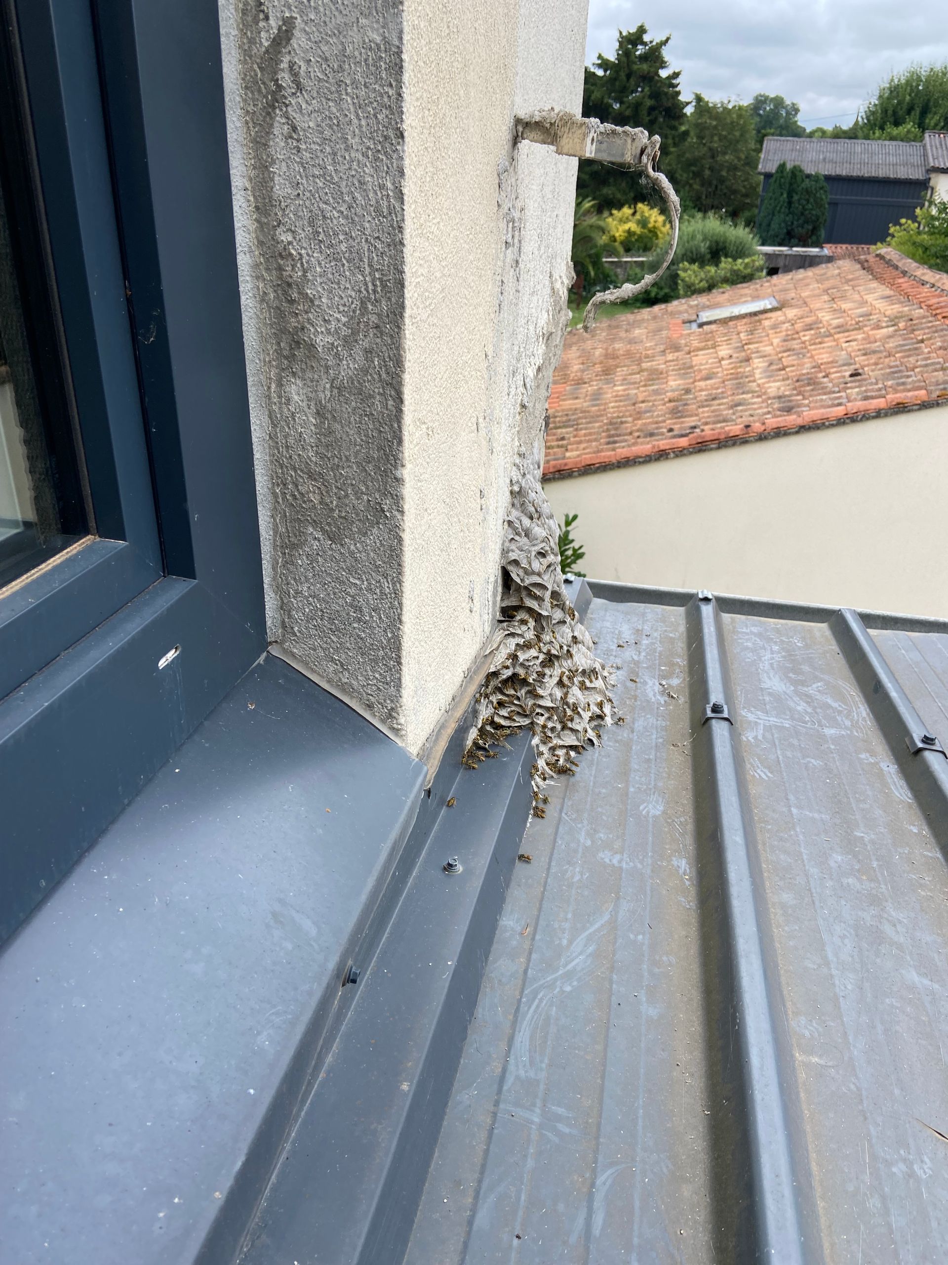 Nid d'oiseau construit sur le coin d'un bâtiment, toit en métal gris.