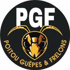 Logo de la société Poitou Guêpes et Frelons