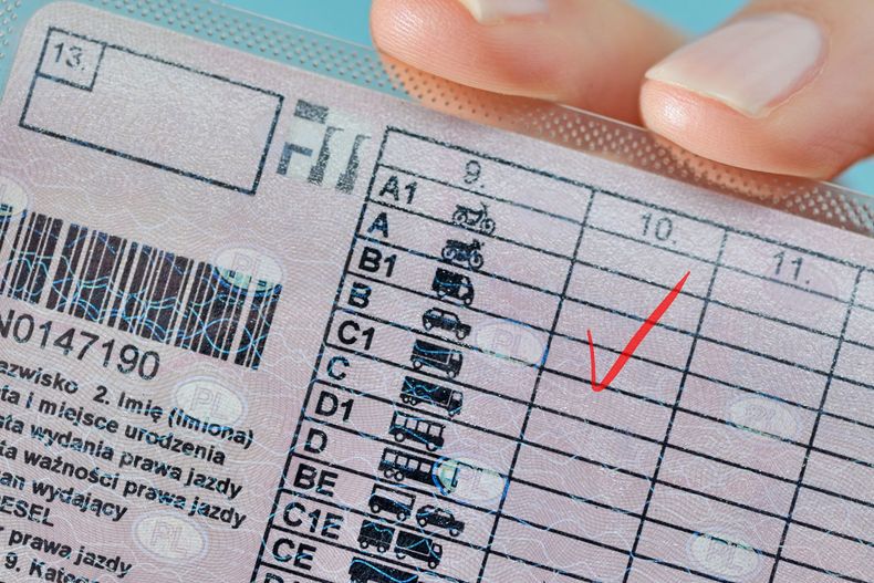 Gros plan sur une main tenant une carte de permis de conduire.