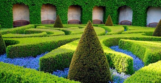Design, jardin