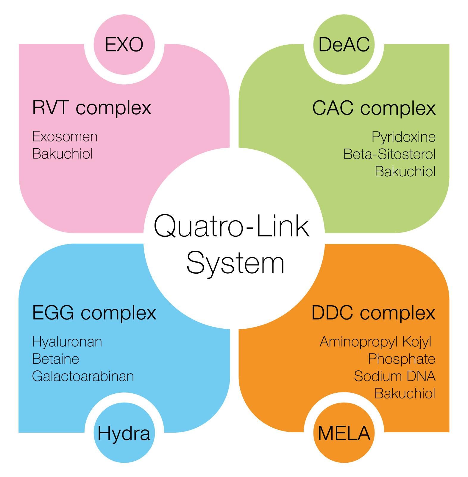 Ein Diagramm des Quatro-Link-Systems mit den verschiedenen Komponenten