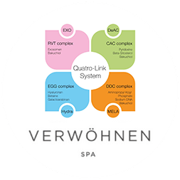 Ein Logo für ein Spa mit einem Vier-Link-System