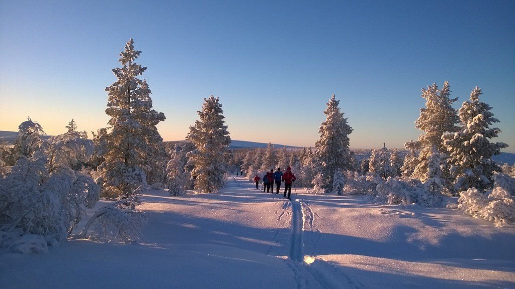Finnland 2014 - Activ Sport Baselgia - Lenzerheide