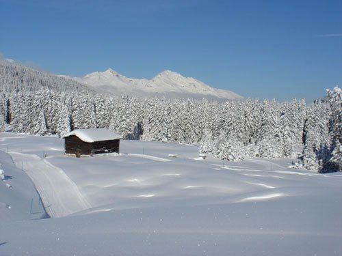 Langlaufgebiet Lenzerheide - Activ Sport Baselgia - Lenzerheide