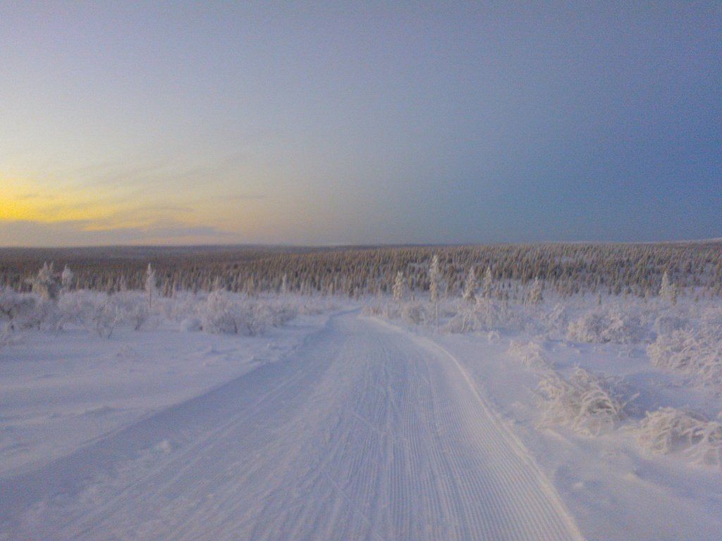 Langlauf-Ferien Lappland - Activ Sport Baselgia - Lenzerheide