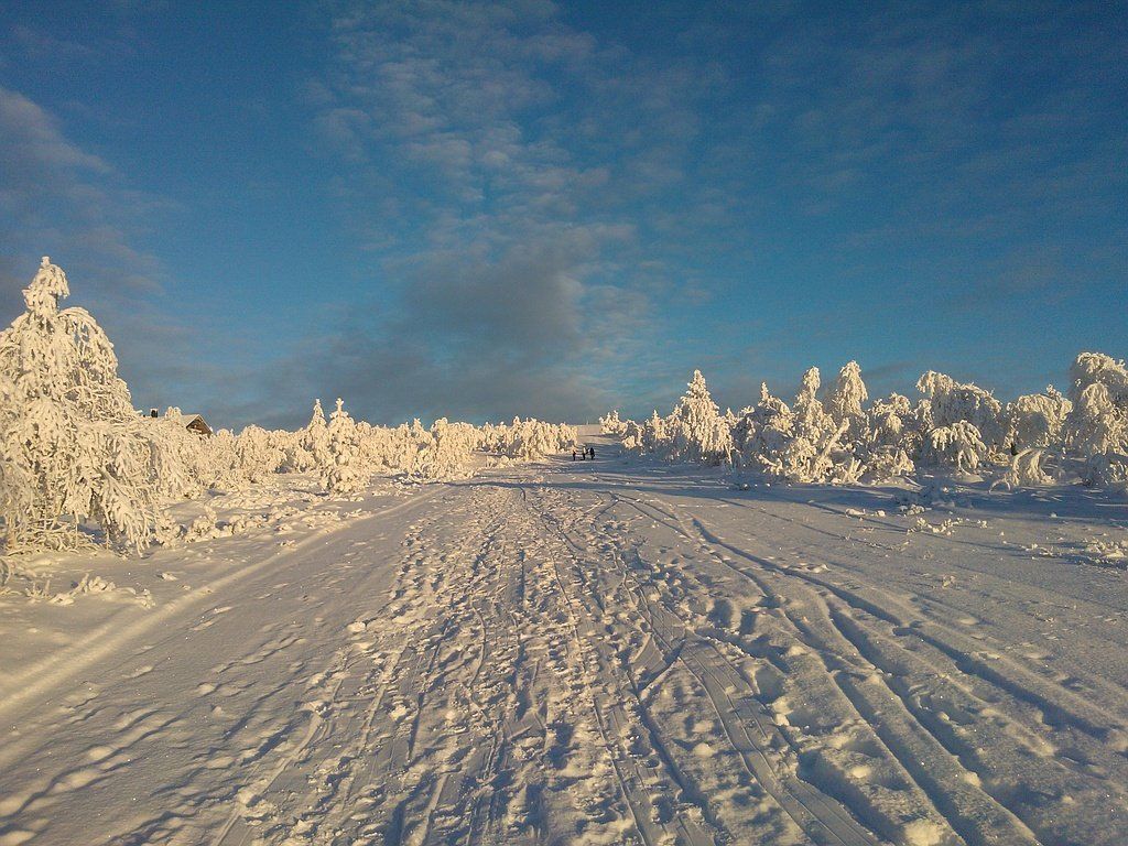 Langlauf-Ferien Lappland - Activ Sport Baselgia - Lenzerheide
