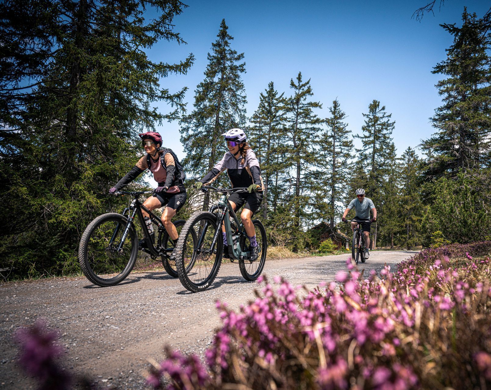 Specialized Turbo Levo Alloy 2022