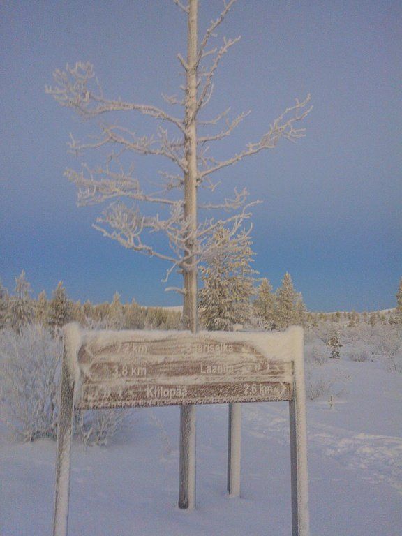 Langlaufveranstaltungen - Activ Sport Baselgia - Lenzerheide