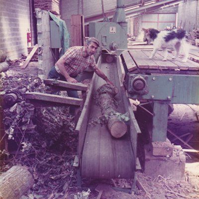 SAB Matériaux - ligne de sciage