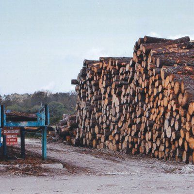 SAB Matériaux - dépôt de bois
