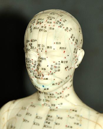 Akupunkturpunkte Kopf