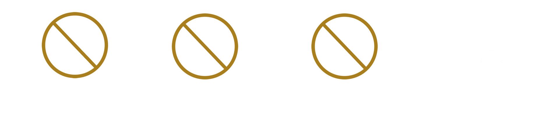 Drei Kreise, durch die jeweils eine diagonale Linie verläuft.