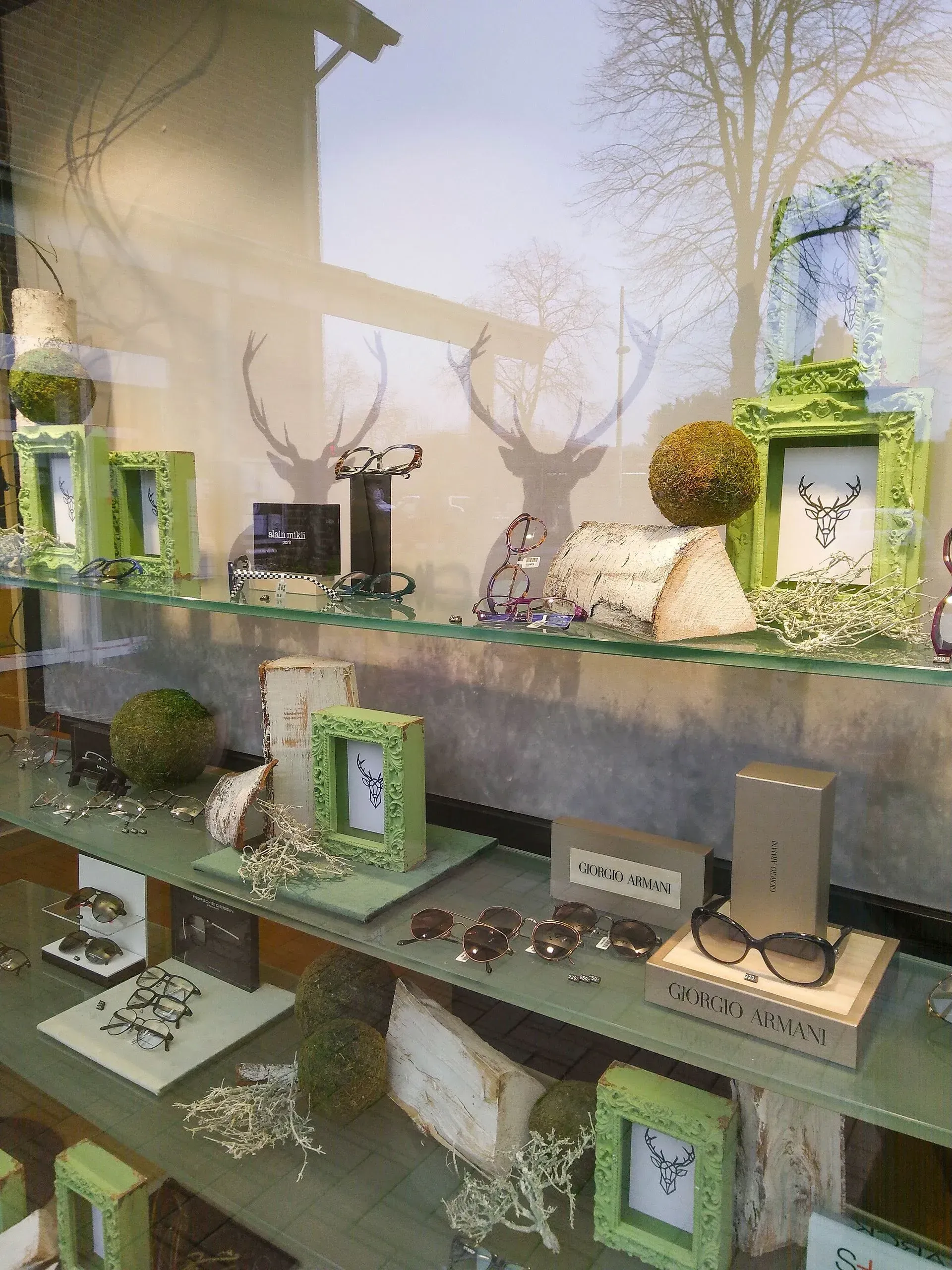 Eine Vitrine mit einem Hirschschatten an der Wand