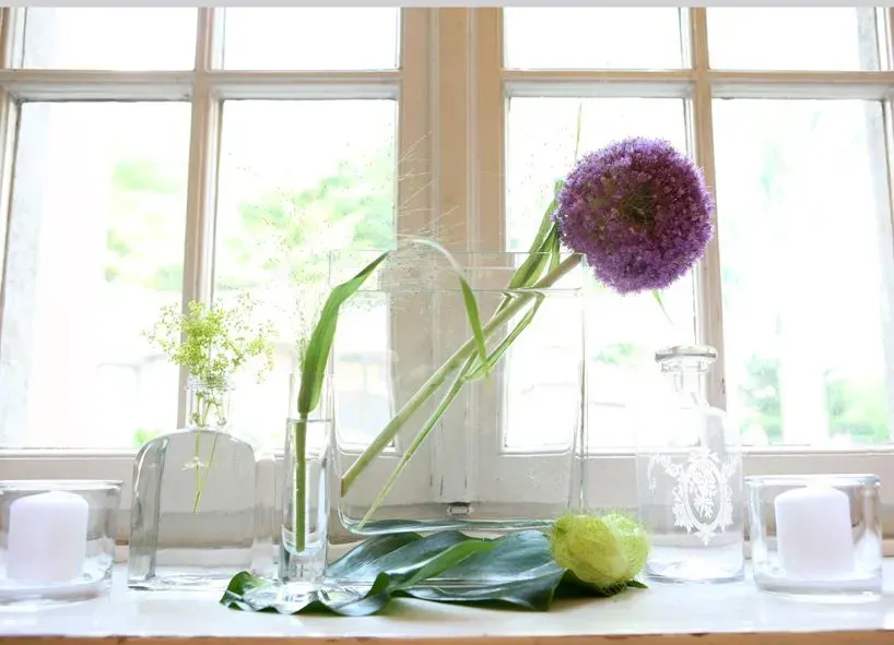 Eine violette Blume steht in einer Vase auf einem Fensterbrett. Stefanie Cremerius raum-station