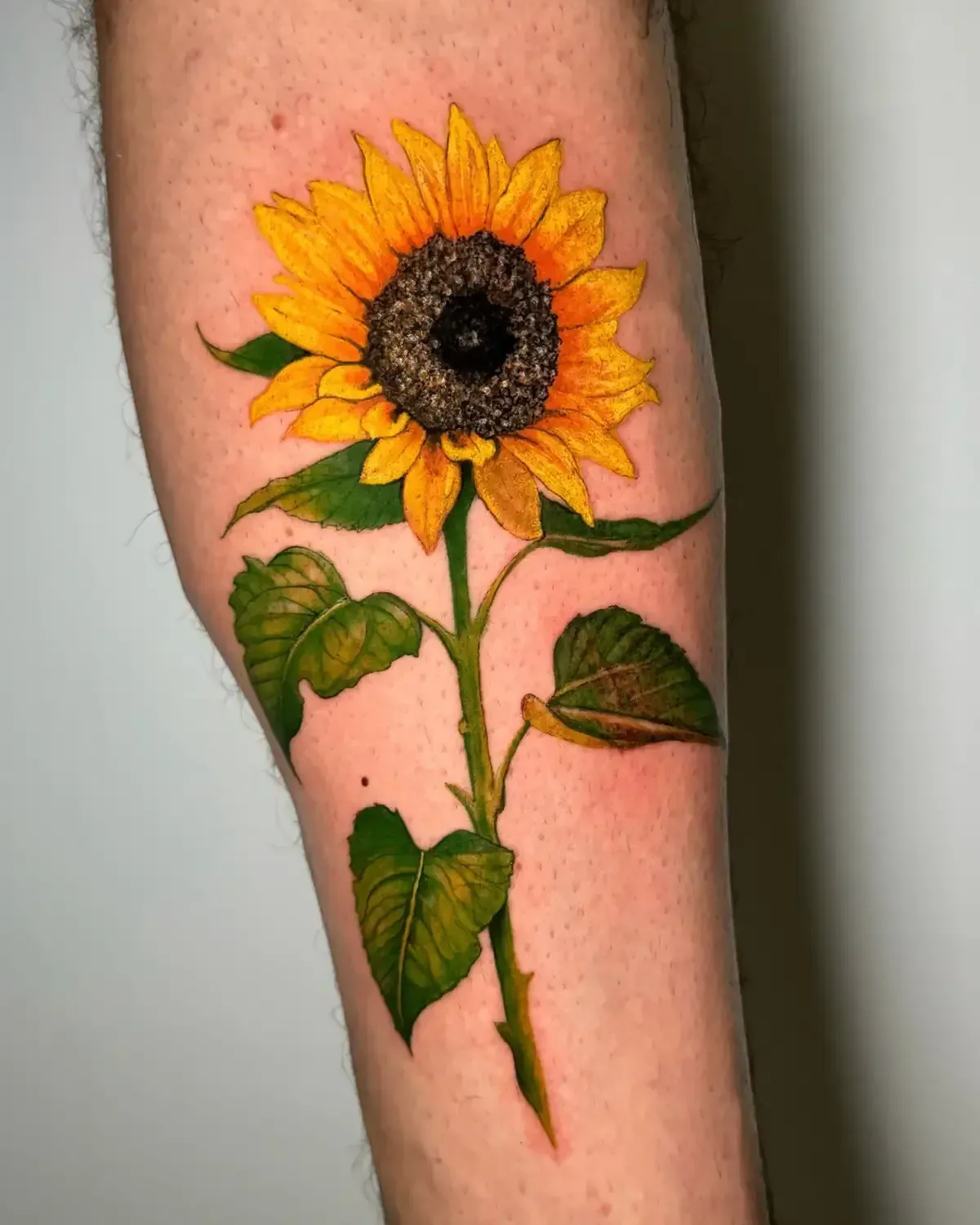 Tatuaje de un girasol vibrante en el brazo. Pétalos amarillos, centro marrón, tallo y hojas verdes.