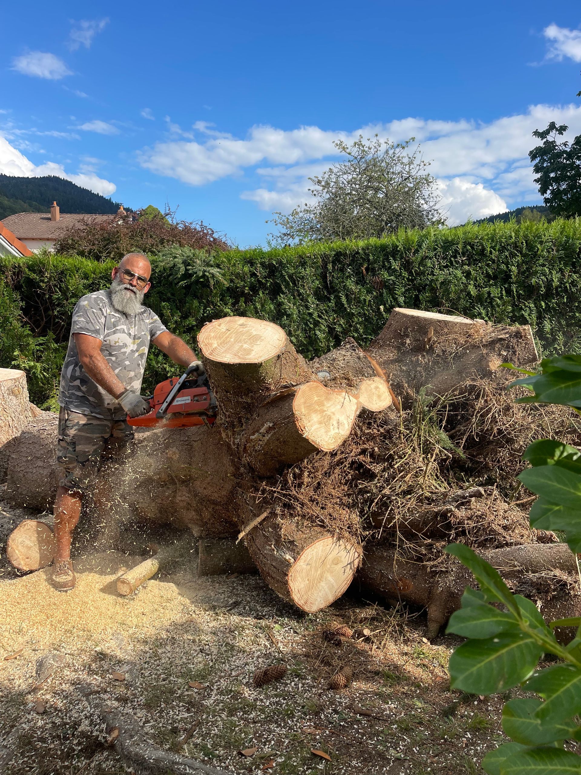 Un homme utilise une tronçonneuse pour couper un tronc d'arbre en plein air par une journée ensoleillée. La sciure vole.
