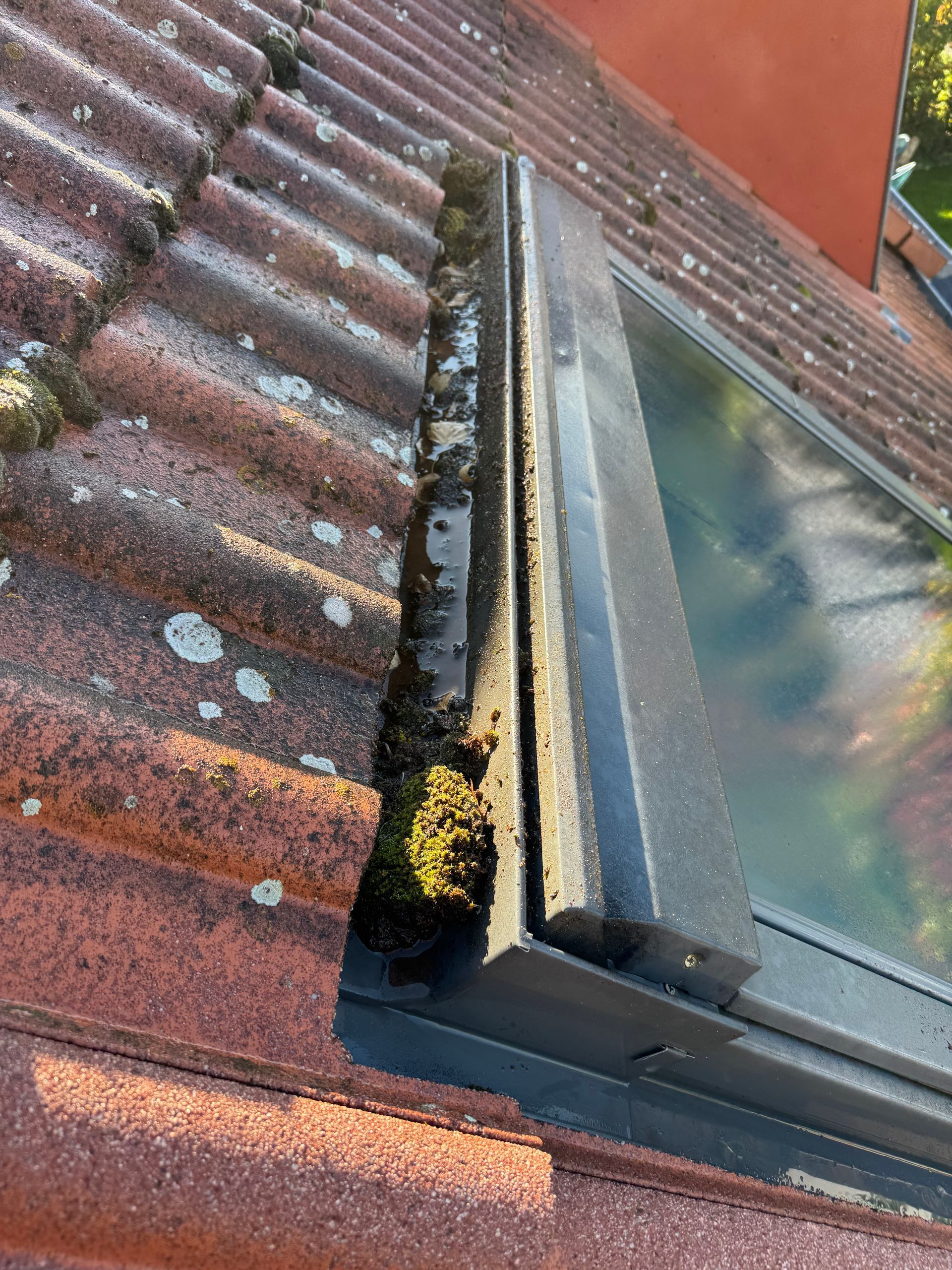 Gros plan sur une gouttière de toit recouverte de mousse, à côté d'un puits de lumière sur un toit de tuiles rouges.