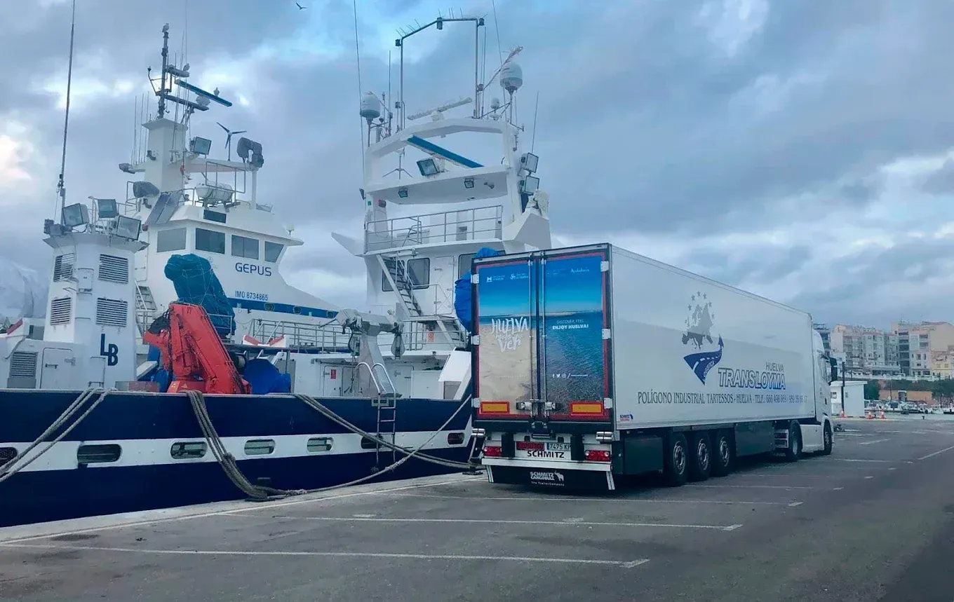 Pescado plateado y tostado recién capturado en hielo.