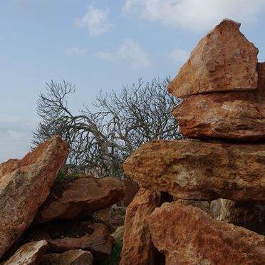 Un montón de rocas con un árbol al fondo.