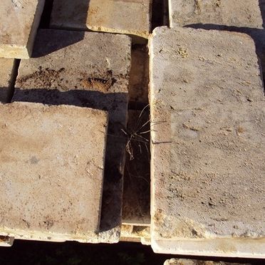 Una pila de ladrillos con una araña en uno de ellos.