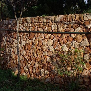 Un muro de piedra con un árbol delante.