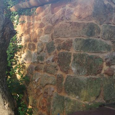 Un muro de piedra con hiedra creciendo en él.