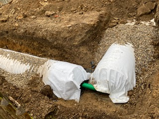Gepflasterte Terrasse mit dekorativen immergrünen Sträuchern und efeubewachsenen Mauern