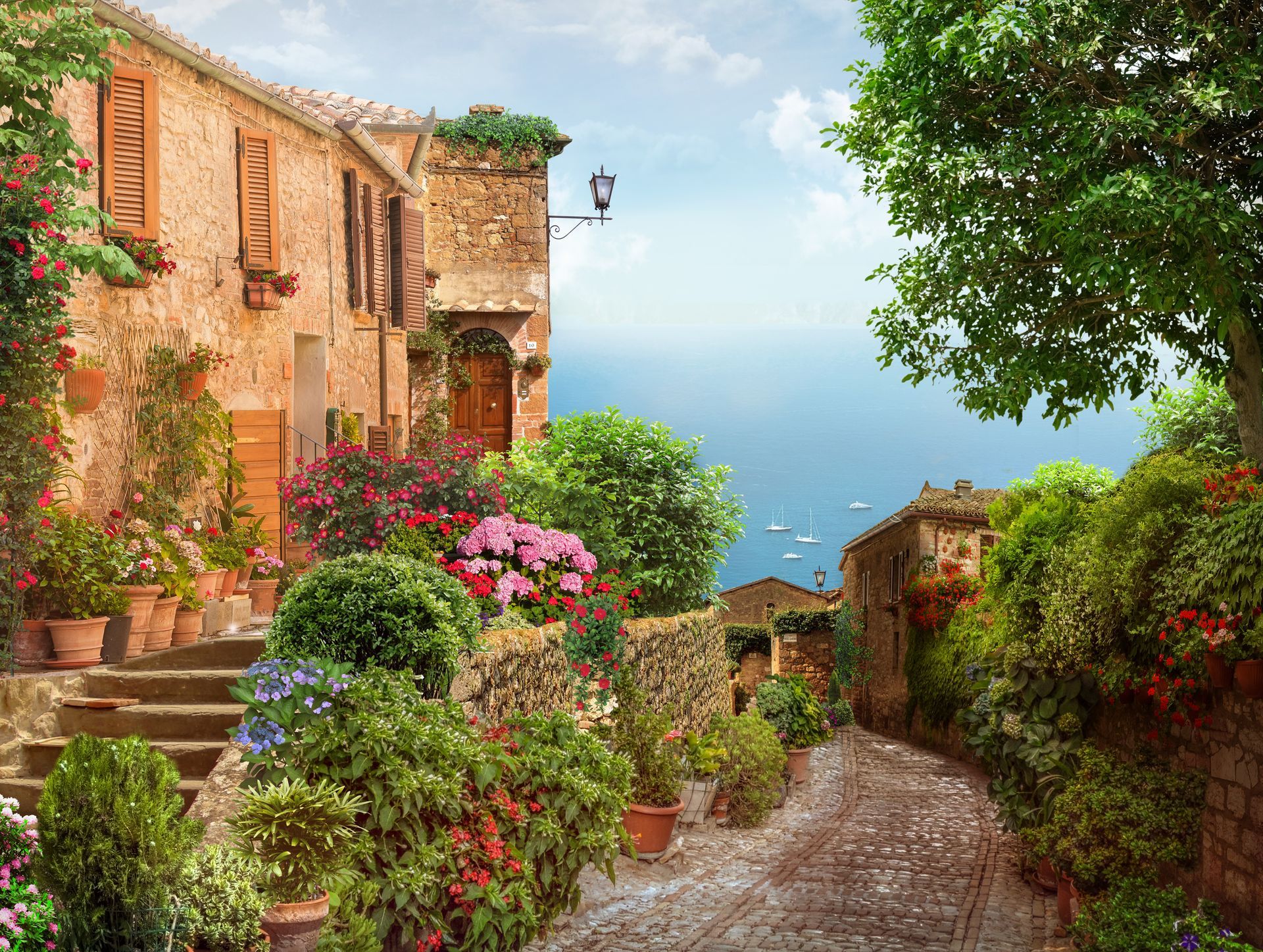 Paysage de Ferrals-les-Corbières