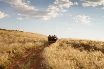 El Jeep avanza a través de hierba alta y seca por un camino de tierra bajo un cielo azul.