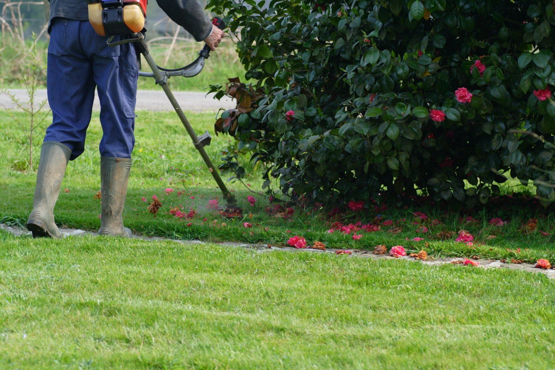 Entretien espaces verts d'immeubles