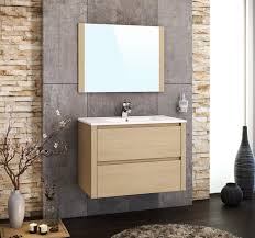 Remplacement meuble vasque lavabo paris 9