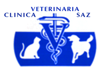 logotipo cabecera