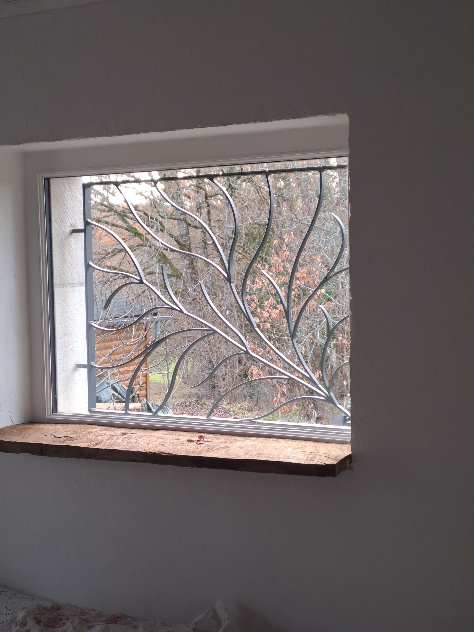 Protection de fenêtre en métal