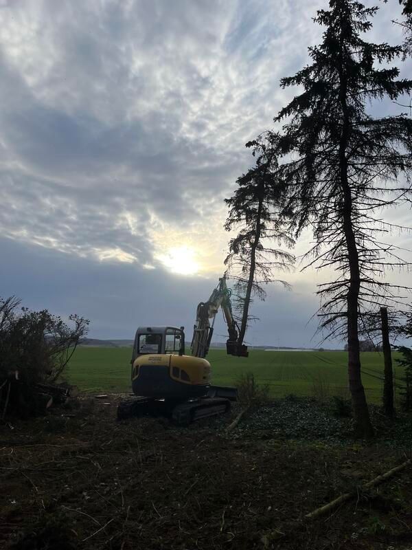 Ein gelber Bagger steht auf einem Feld mit Bäumen im Hintergrund