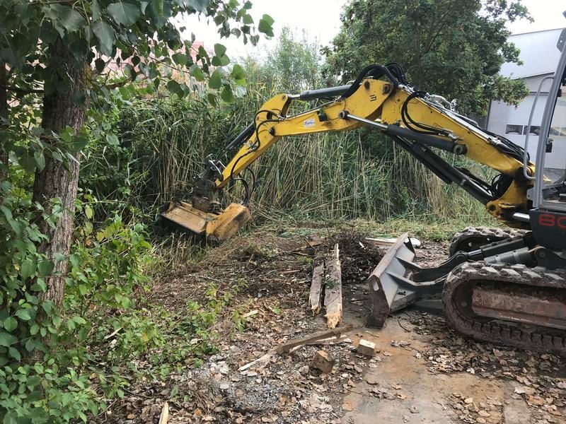 Ein gelber Bagger fällt Bäume auf einem Feld.