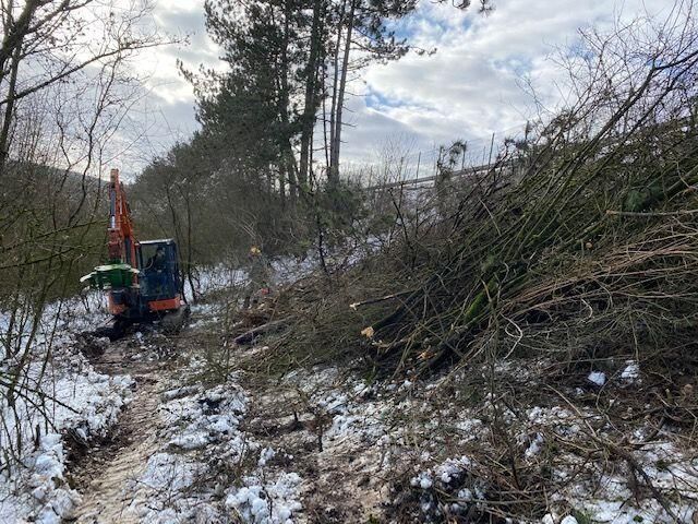 Ein Traktor fährt durch einen verschneiten Wald neben einem Haufen Äste her.