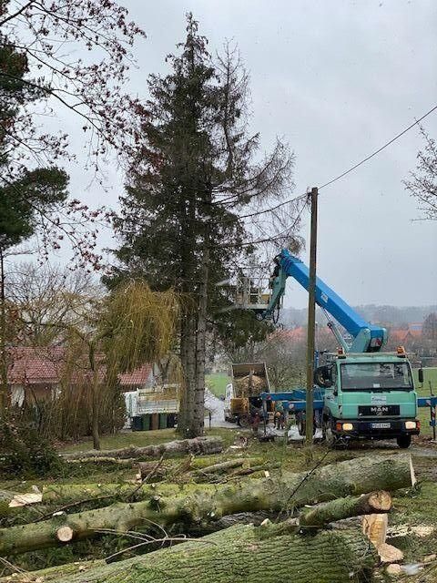 Ein Lastwagen mit einem Kran darauf fällt einen Baum.
