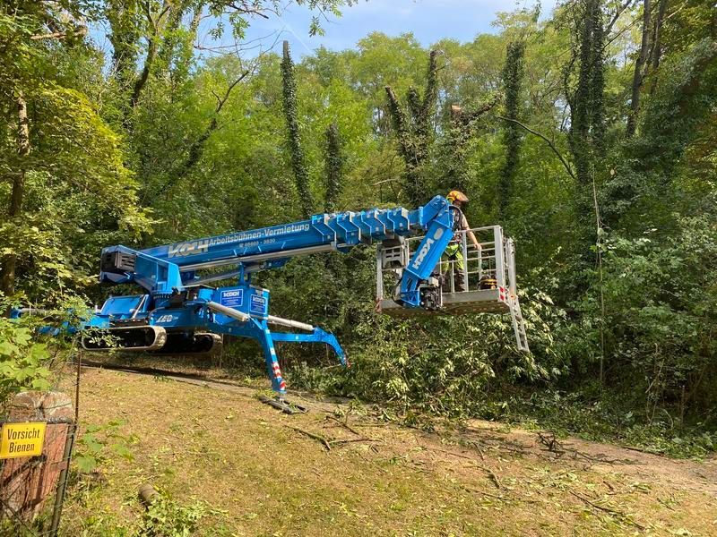 Ein Mann fällt im Wald mit einem Kran Bäume.