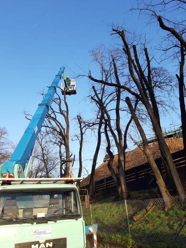 Ein Mann fällt einen Baum mit einem Kran auf einem LKW