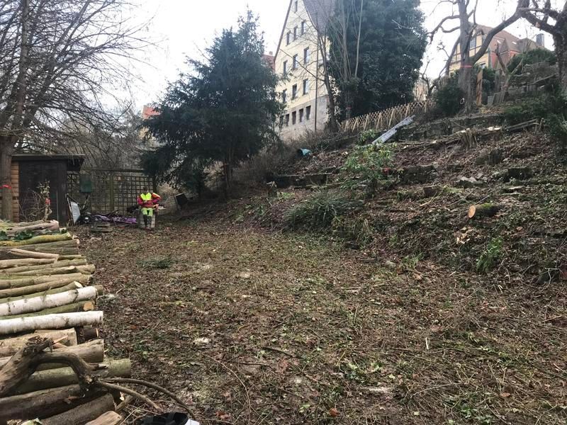 Ein Stapel Baumstämme auf einem Feld mit einem Gebäude im Hintergrund.