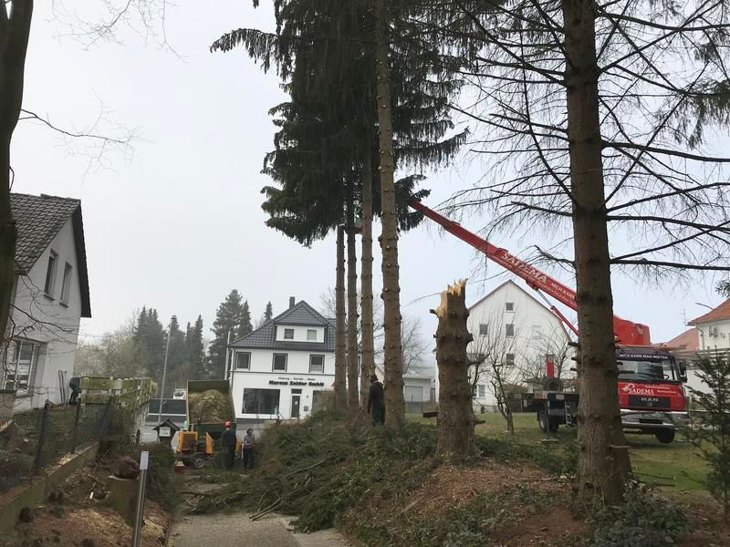 Ein Kran fällt einen Baum vor einem Haus