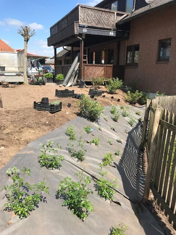 Ein Haus mit einem Zaun und vielen Pflanzen davor